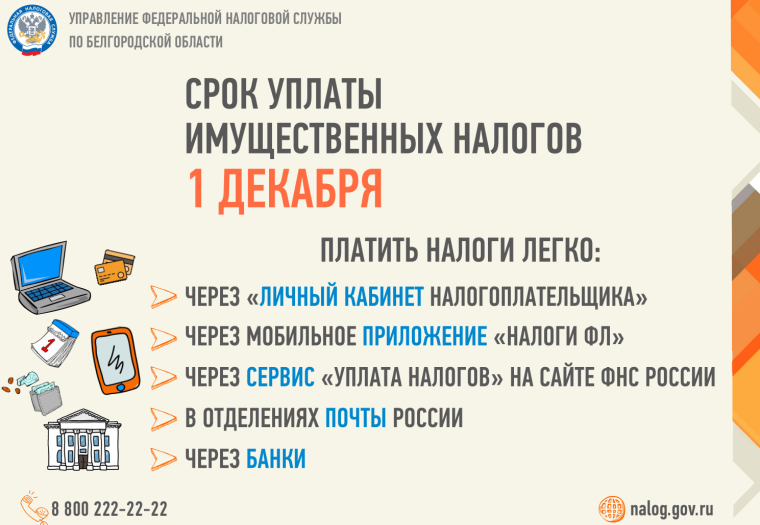 Собственники имущества начали получать налоговые уведомления на уплату имущественных налогов. Собственники имущества начали получать налоговые уведомления на уплату имущественных налогов.